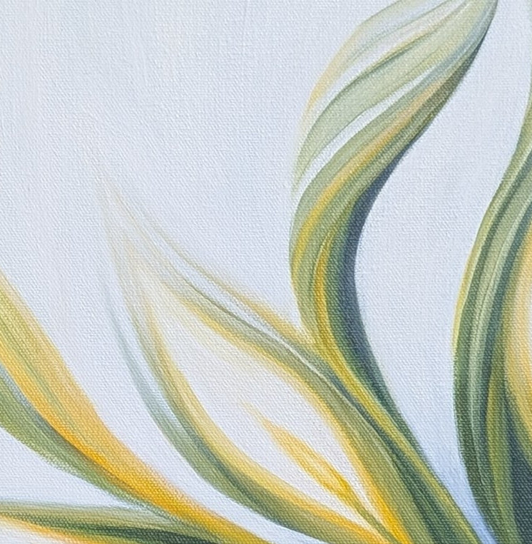 Peace Lily 2