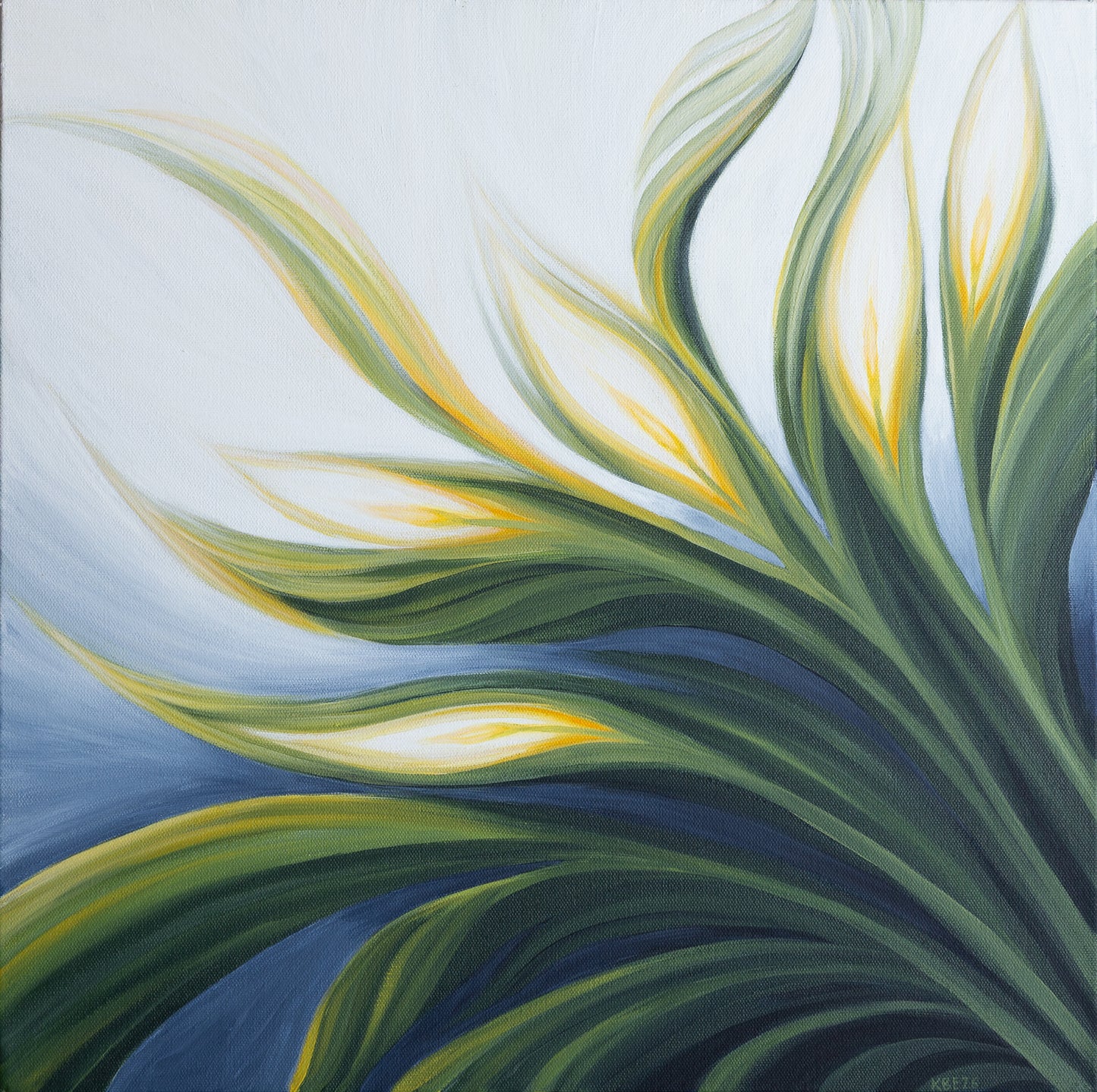 Peace Lily 2